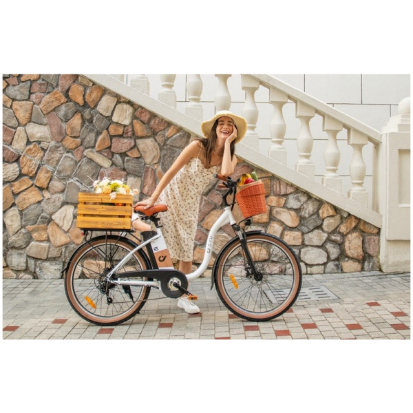 Elektrické kolo DYU C6 Pro