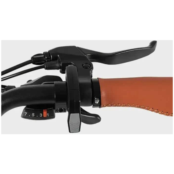 Elektrické kolo DYU C6 Pro