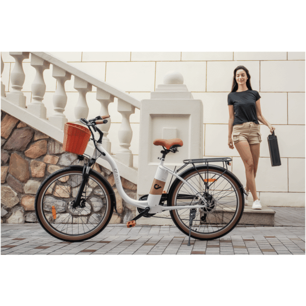 Elektrické kolo DYU C6 Pro