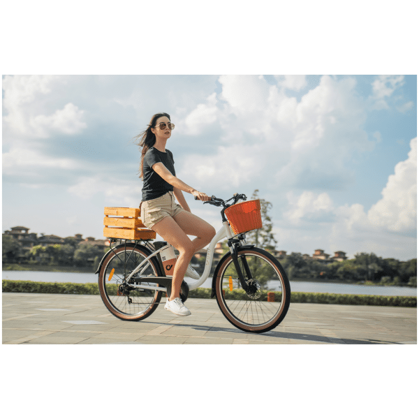 Elektrické kolo DYU C6 Pro