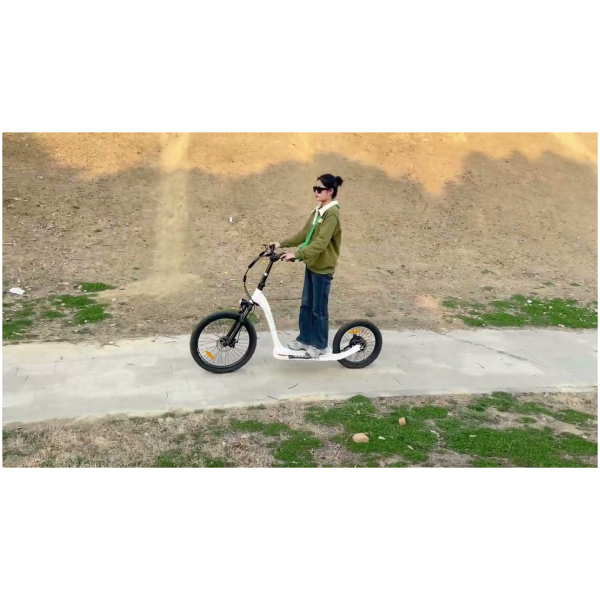 Elektrická koloběžka X-Scooters XT07