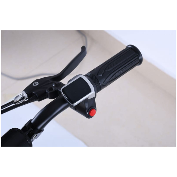 Elektrická koloběžka X-scooters XT01